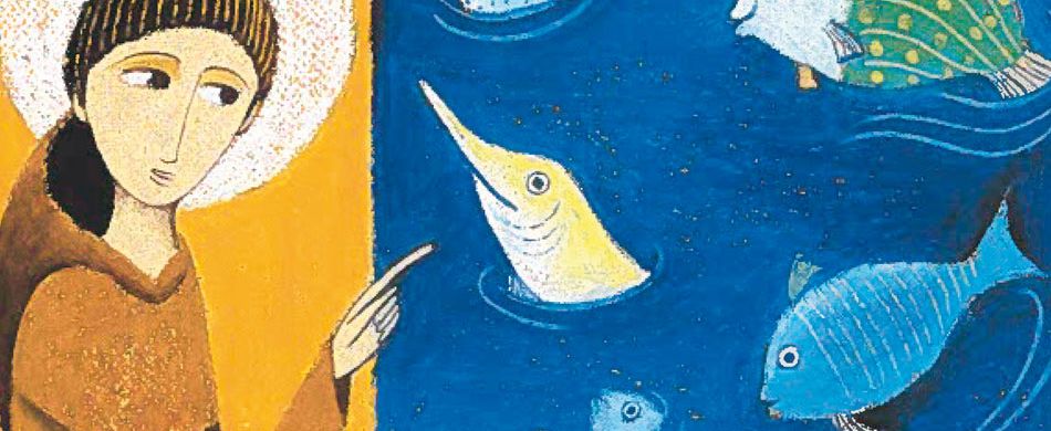 fishes